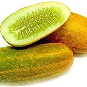Fresh Indian Cucumber Yellow-cut piece 300g