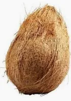 Fresh Whole Coconut 1pcs