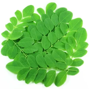 Fresh Drumstick Leaves Bunch