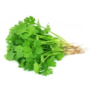 Fresh Coriander / Dhaniya (Bunch)