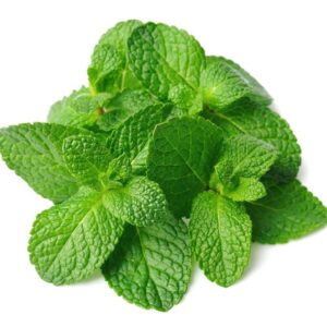 Fresh Mint Leaf ( Bunch)