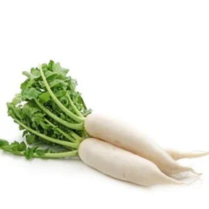 Fresh Radish / Mula / Mooli Each