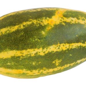 Fresh Indian Cucumber Yellow-whole 600g